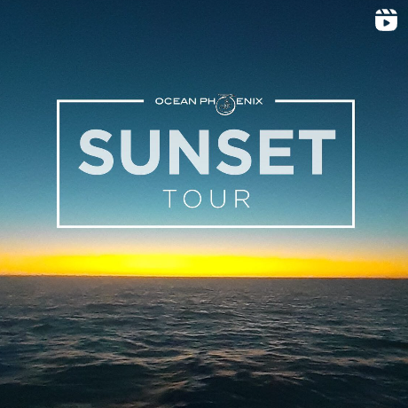 Ocean Phoenix Charter Experiences Sunset Tour